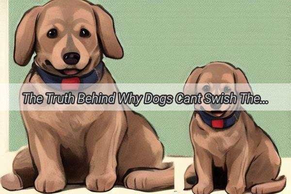 The Truth Behind Why Dogs Cant Swish Their Ears A WhiskerTwirling Mystery Solved